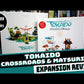 Tokaido: Crossroads & Matsuri Expansion (Stonemaier Games Edition)
