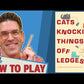 Cats Knocking Things Off Ledges